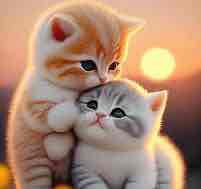 dongshufa.base.eth Basenames (.base.eth domains) based on ENS PFP