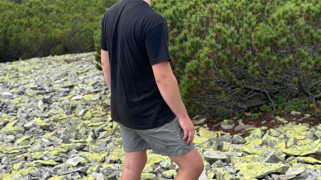 timosha99 (timosha99.lens) Lens social identity (.lens handle) PFP