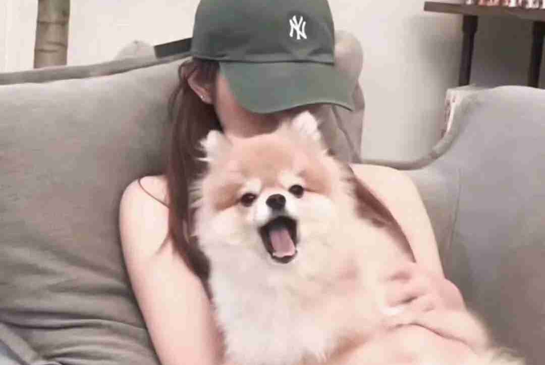 lobsterLw (lobsterlw) Farcaster social identity (Fname handle) PFP