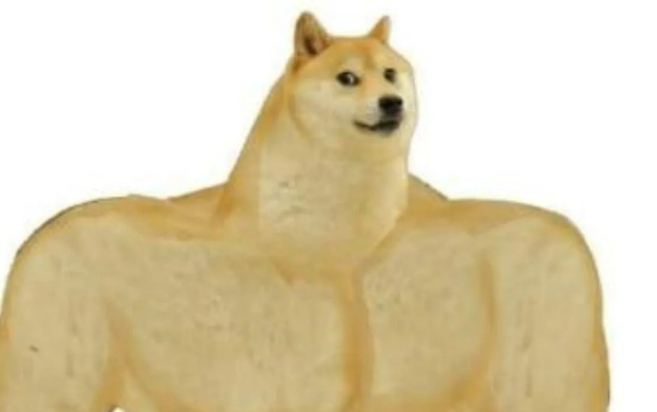drewbilottaiia pfp
