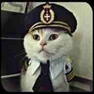 Silvia Cat pfp