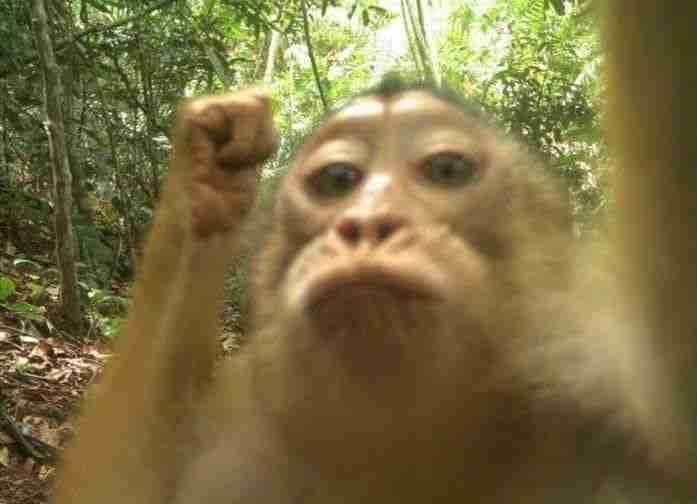 PhoenixPhoenix768 (phoenixphoenix76) Farcaster social identity (Fname handle) PFP