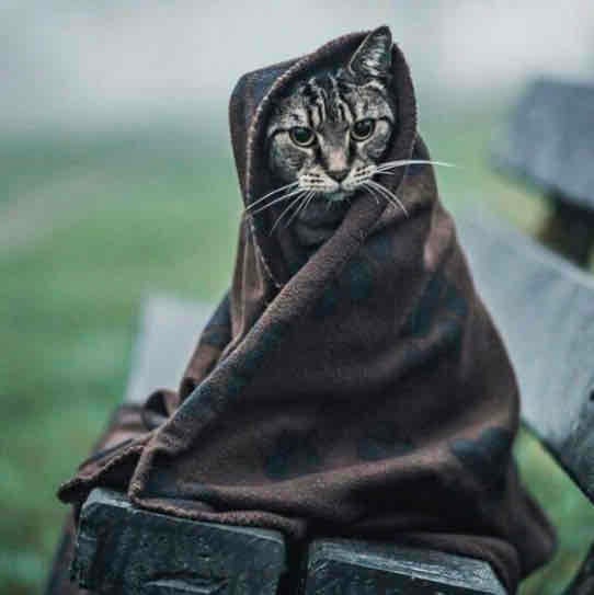 Valandemort.base.eth (valandemort777) Farcaster social identity (Fname handle) PFP