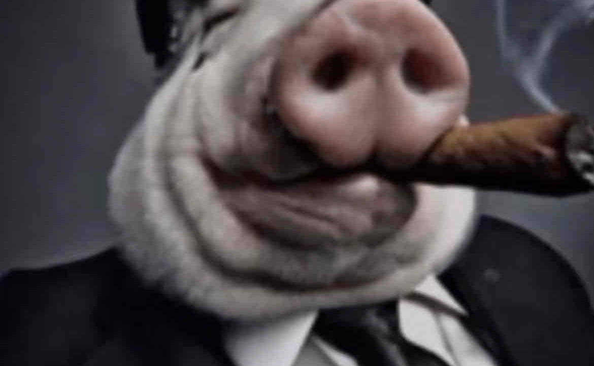 Nerbees (nerbees) Farcaster social identity (Fname handle) PFP