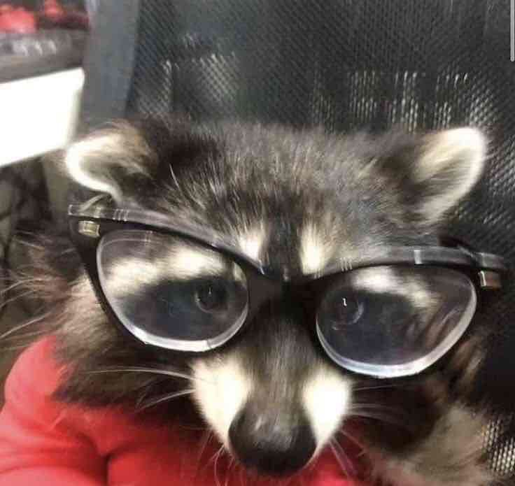 Gavin (punktodunk.lens) Lens social identity (.lens handle) PFP