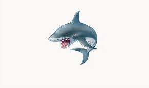 55555055555.base.eth Basenames (.base.eth domains) based on ENS PFP