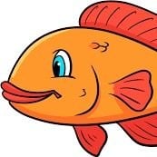 San Hamz pfp