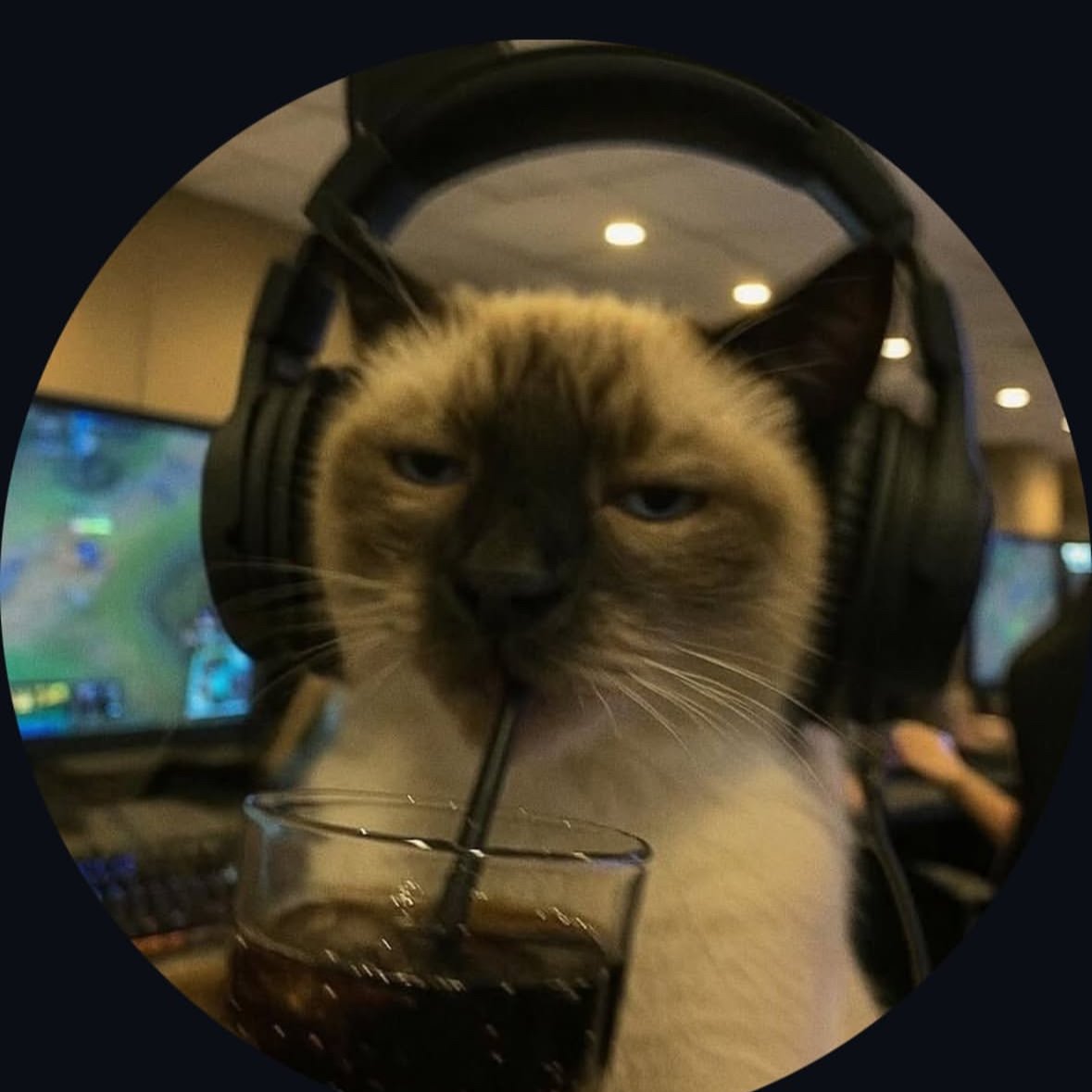 Shubham (mikey4u) Farcaster social identity (Fname handle) PFP