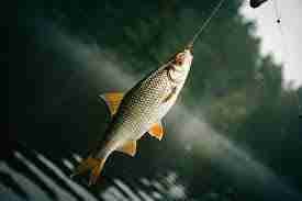 Gregory (ingramgregory) Farcaster social identity (Fname handle) PFP