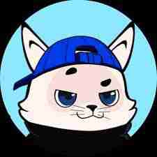 Catnipz pfp