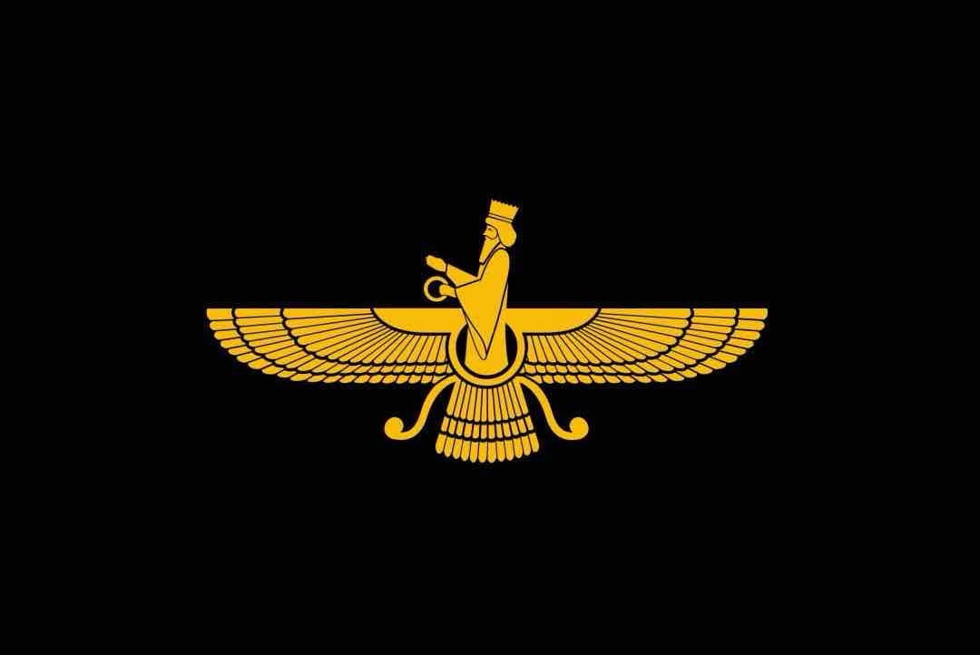 Amirabbas Saffari pfp