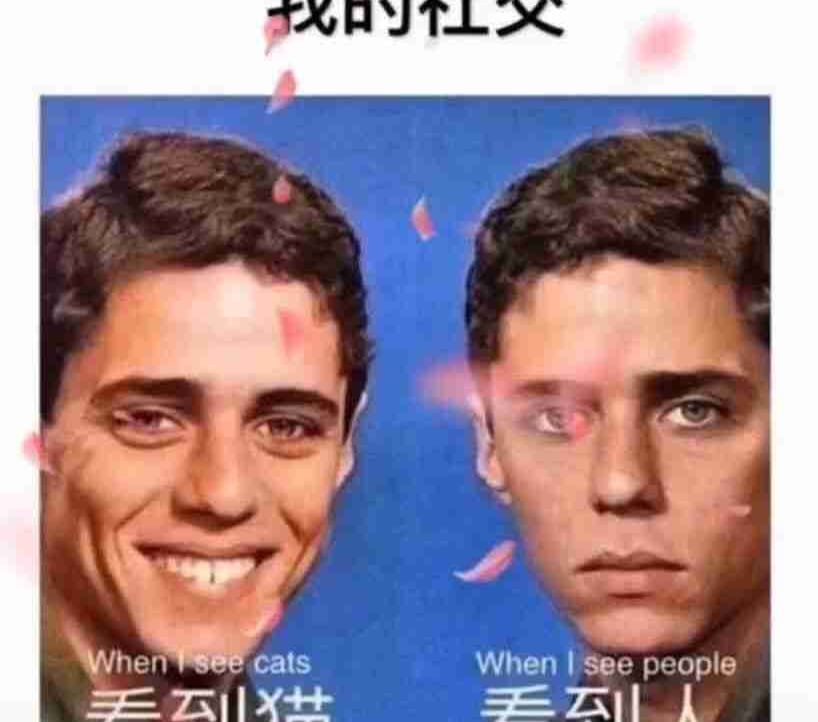 Ernest pfp