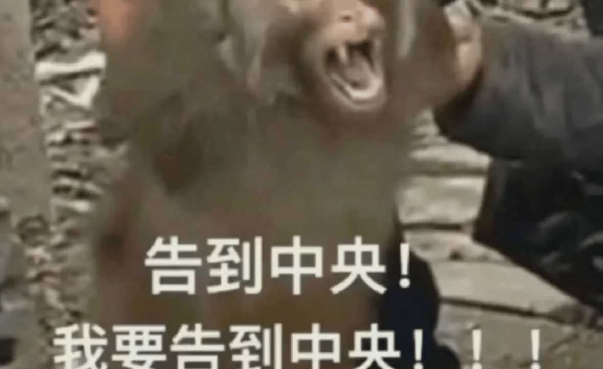 asshhhha2.lens Lens social identity (.lens handle) PFP