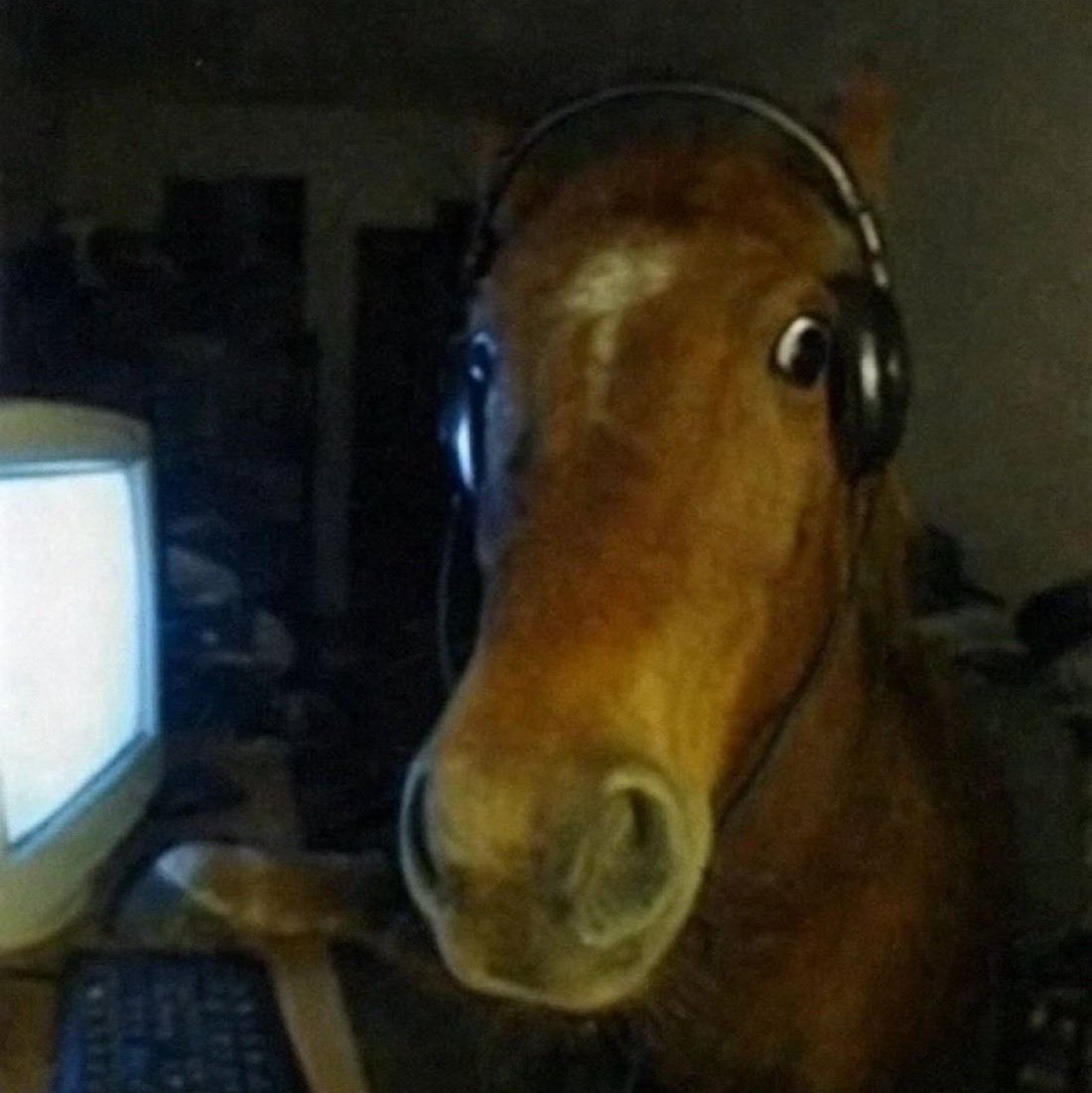 zloyarab Farcaster social identity (Fname handle) PFP