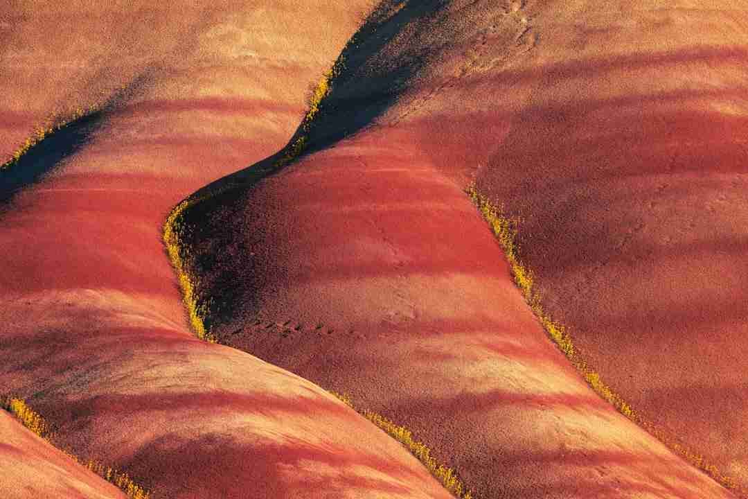 Psychotherapist (gilmorecristina) Farcaster social identity (Fname handle) PFP