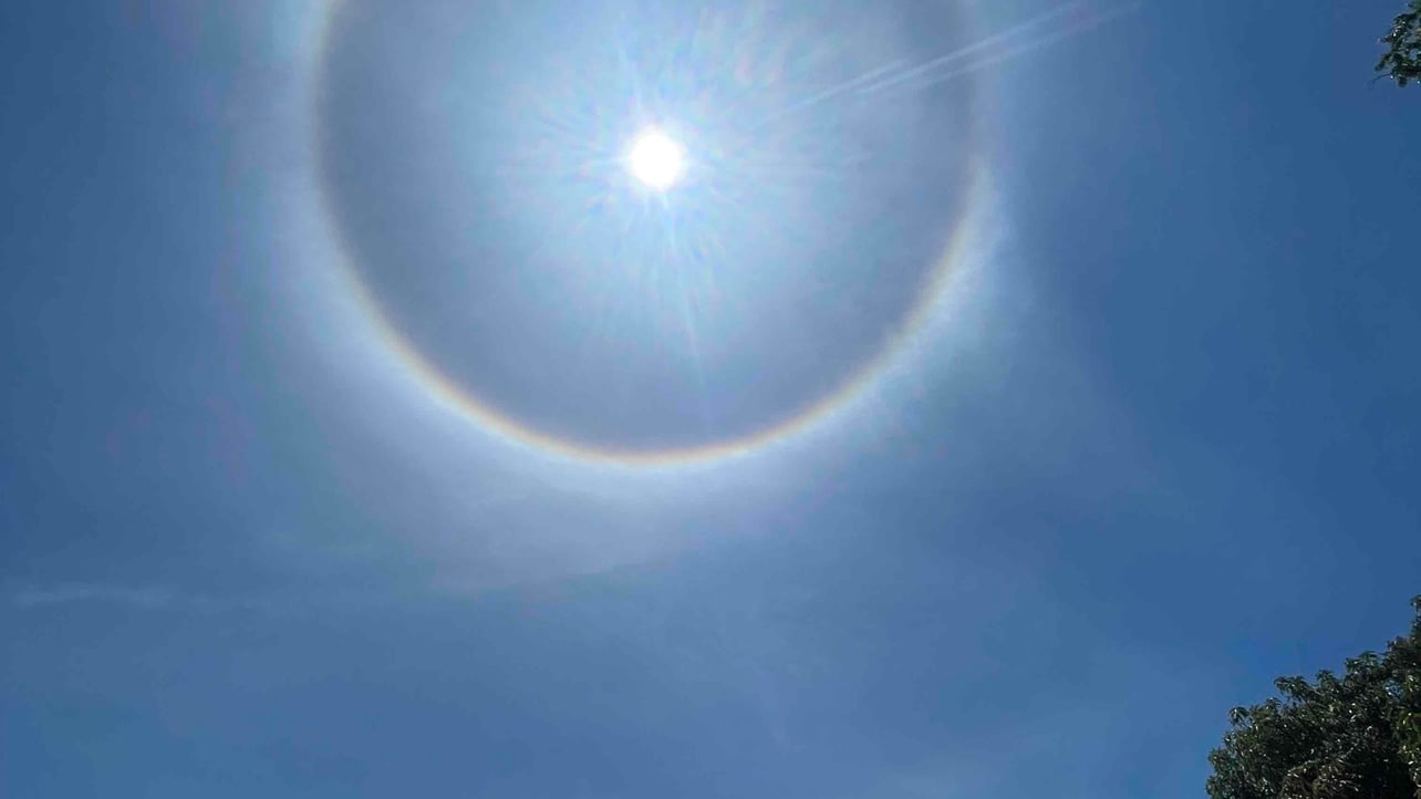 malymlk (malymlk.lens) Lens social identity (.lens handle) PFP