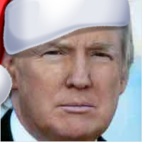 Donald Trump pfp