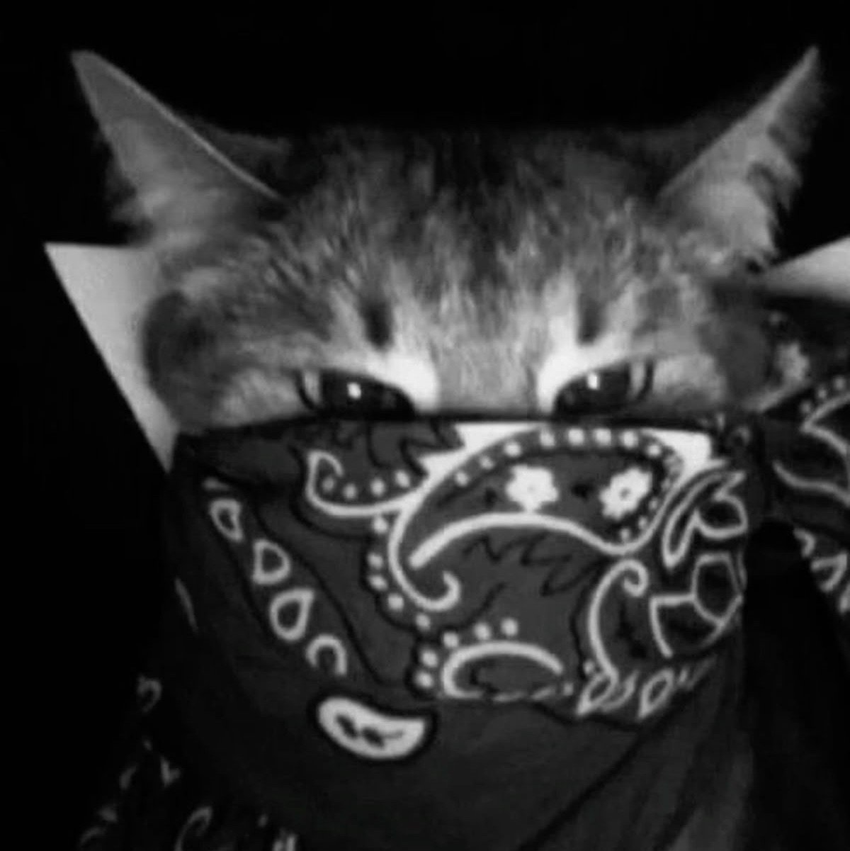 fixzx.lens Lens social identity (.lens handle) PFP