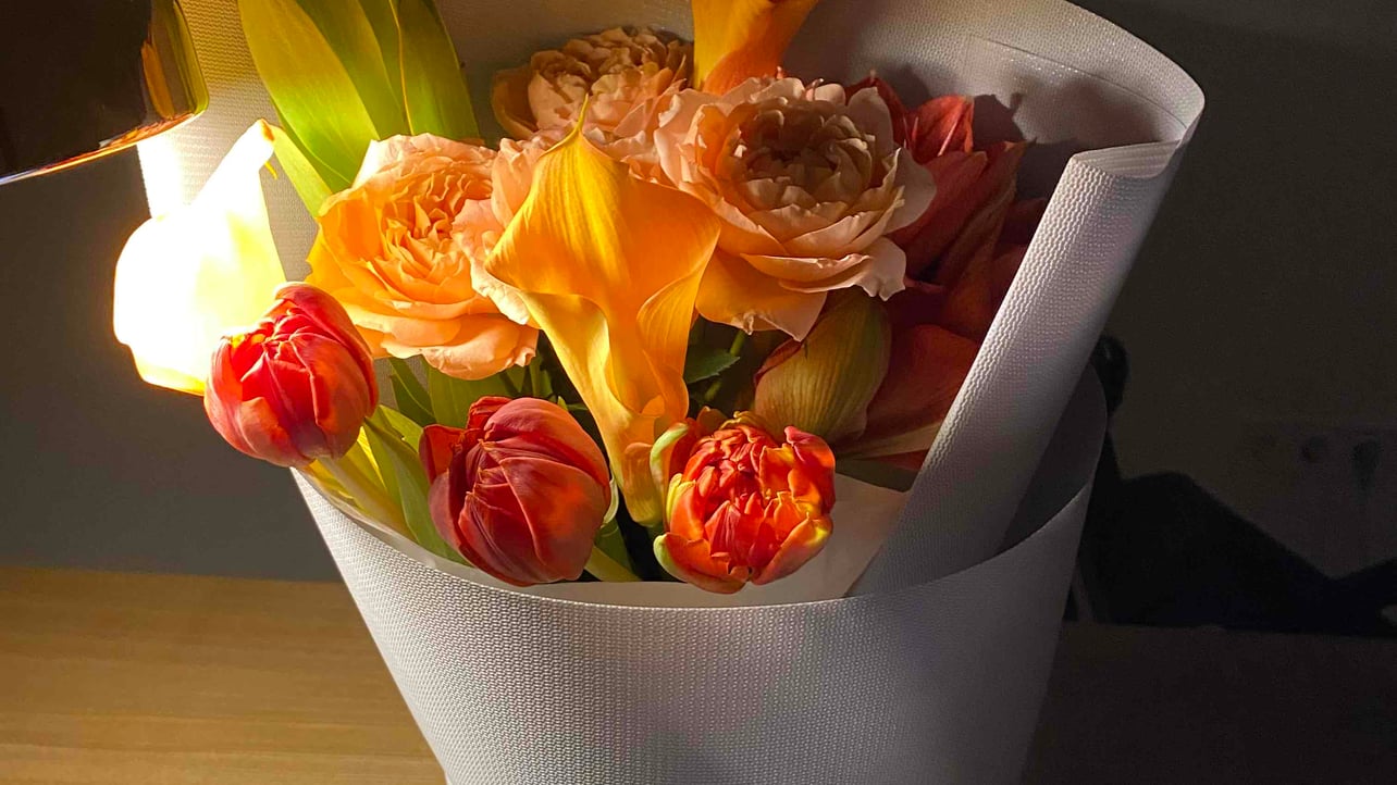 purenaive Farcaster social identity (Fname handle) PFP