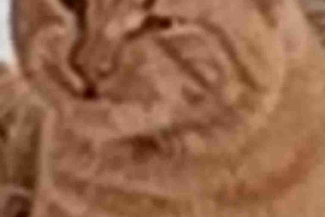 kokok.lens Lens social identity (.lens handle) PFP