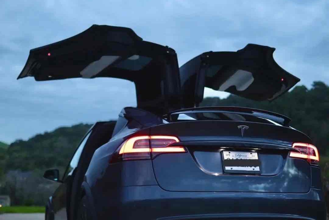modelX pfp