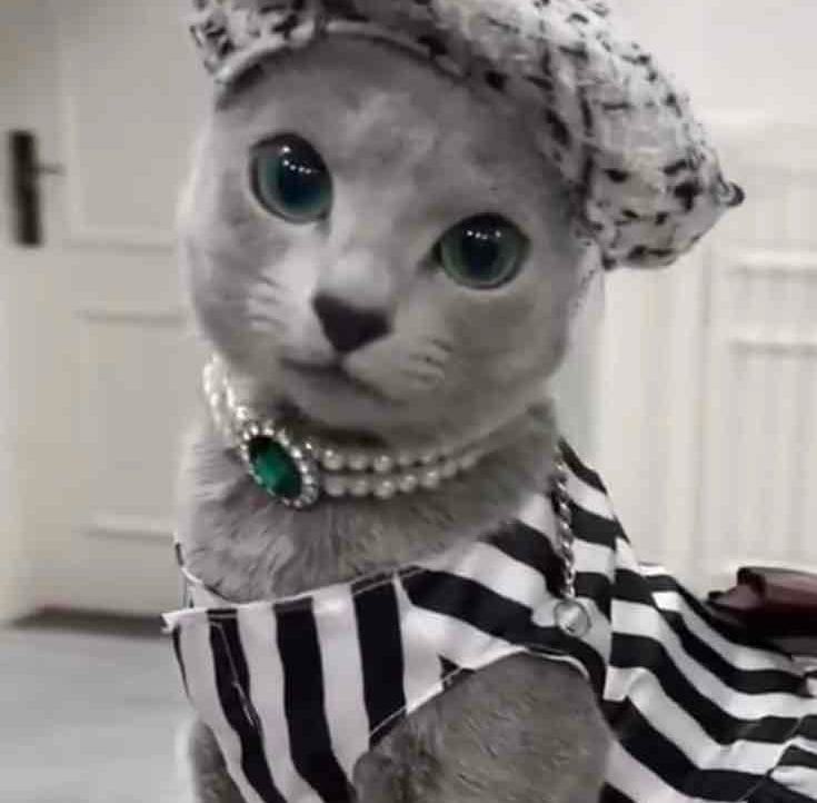 Myramc (myramc) Farcaster social identity (Fname handle) PFP