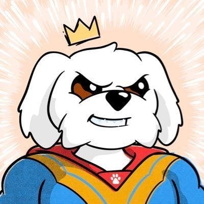 RADIN pfp
