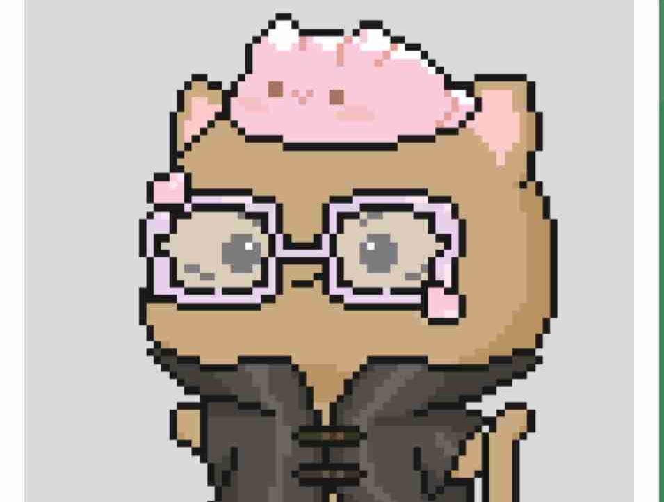 dudaml.linea.eth Linea Name Service (.linea.eth domains) based on ENS PFP