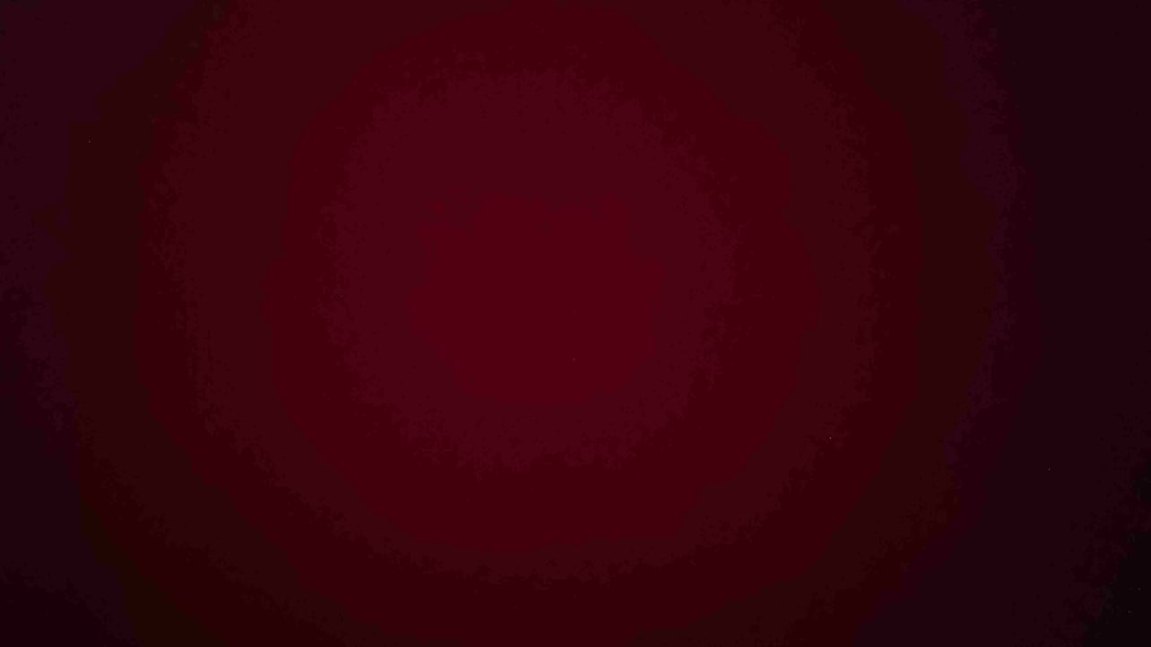 Vector pfp