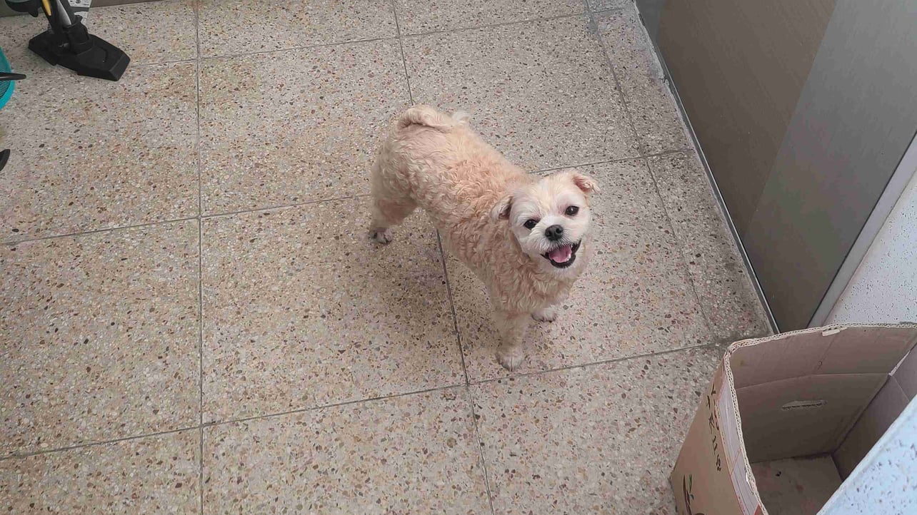 SE HYUN LEE (9con) Farcaster social identity (Fname handle) PFP