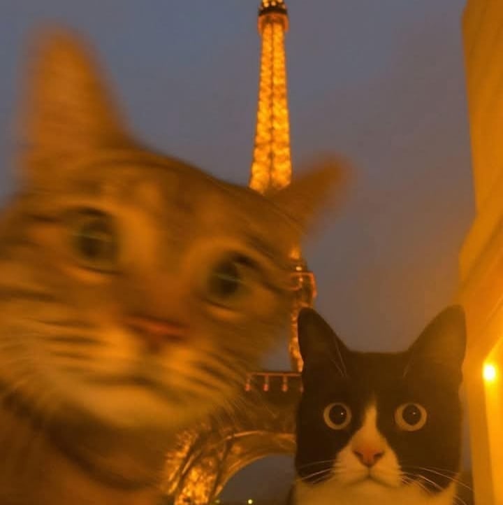 Hello My Name Is Jhon