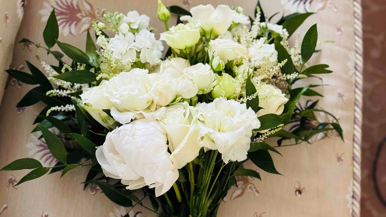 eprshn24 (eprshn24.lens) Lens social identity (.lens handle) PFP