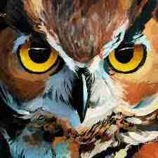 Stephen Murphy (stephenmurphy) Farcaster social identity (Fname handle) PFP