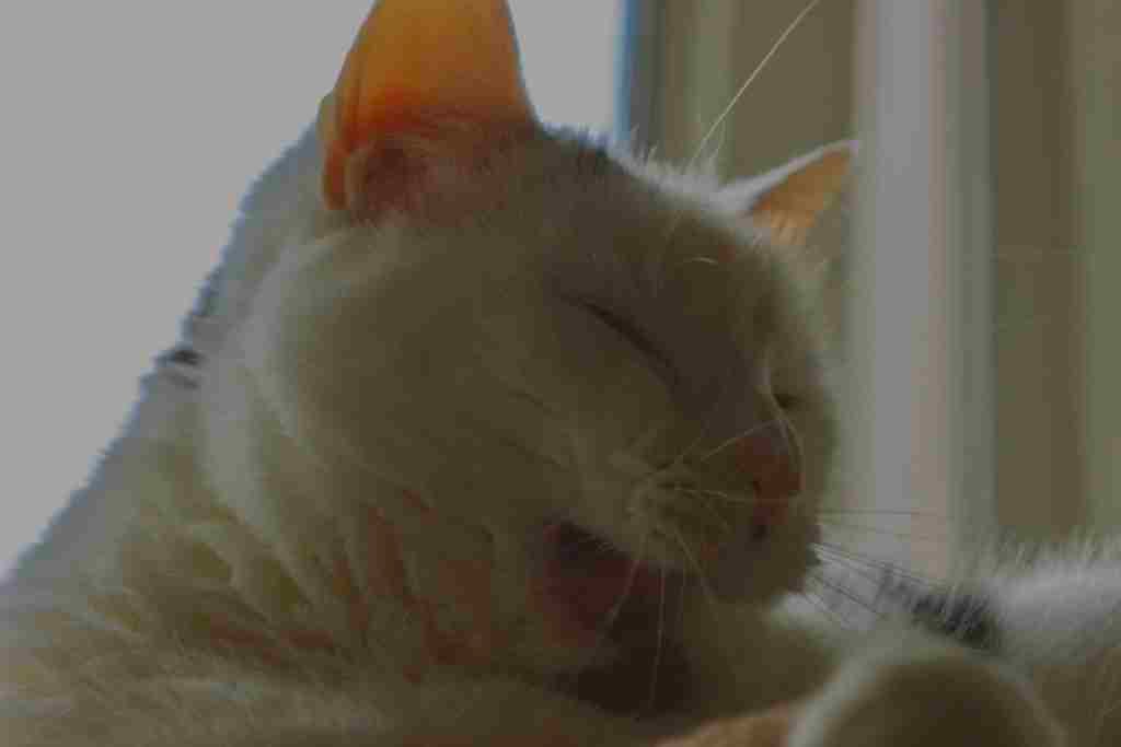 Robert Riley (jennifer20) Farcaster social identity (Fname handle) PFP