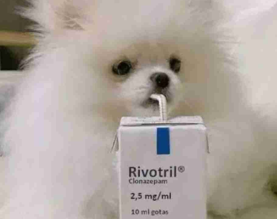 Rivotril pfp