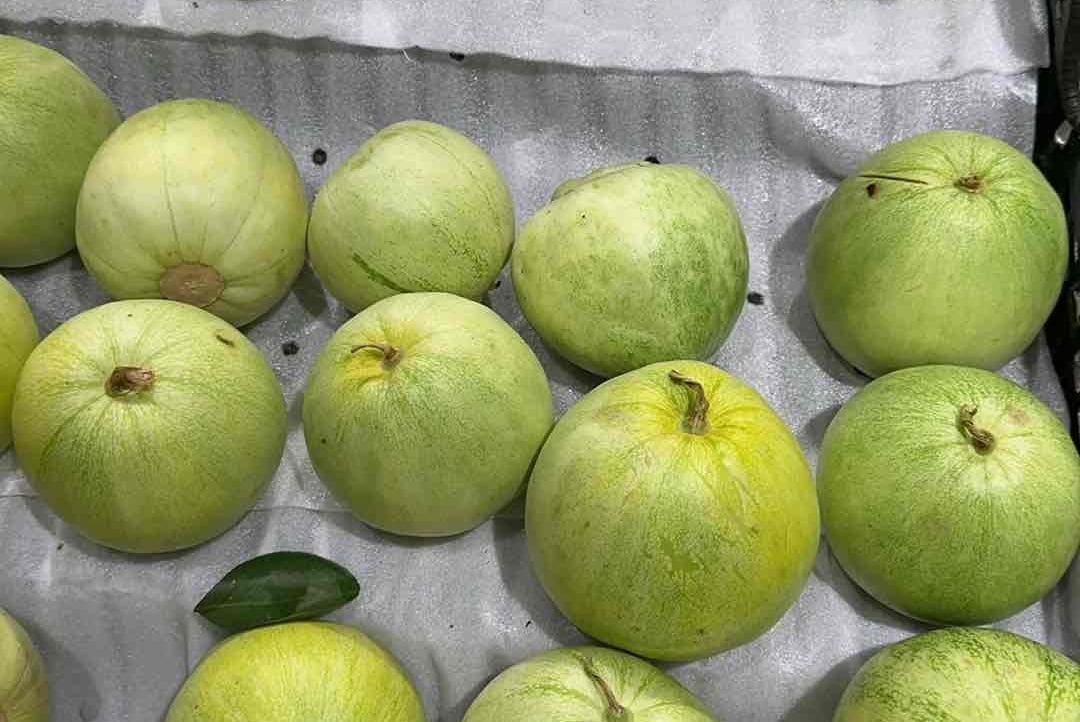 xixxixi (msnzsz) Farcaster social identity (Fname handle) PFP