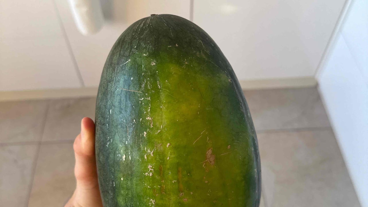 Bullby (bullby) Farcaster social identity (Fname handle) PFP