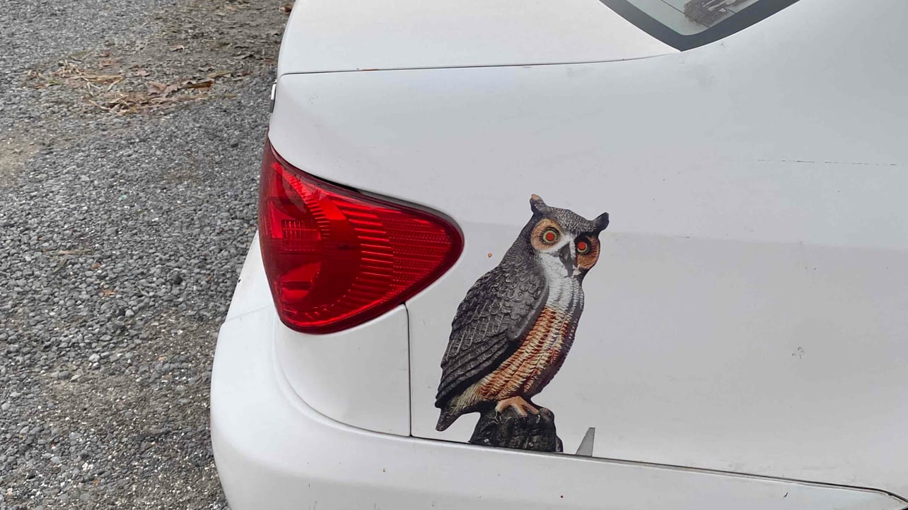 eaglewatch.base.eth (eaglewatch) Farcaster social identity (Fname handle) PFP