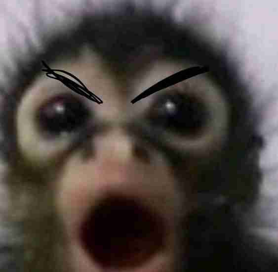 kenzheb Farcaster social identity (Fname handle) PFP