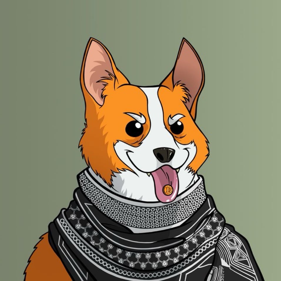 Gbenga 🎩 🔵⛓️ pfp