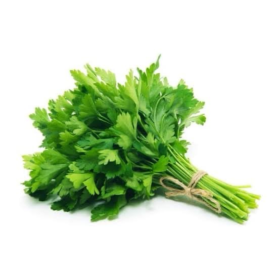 Cilantro
