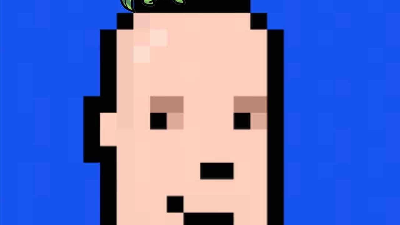 corybear pfp