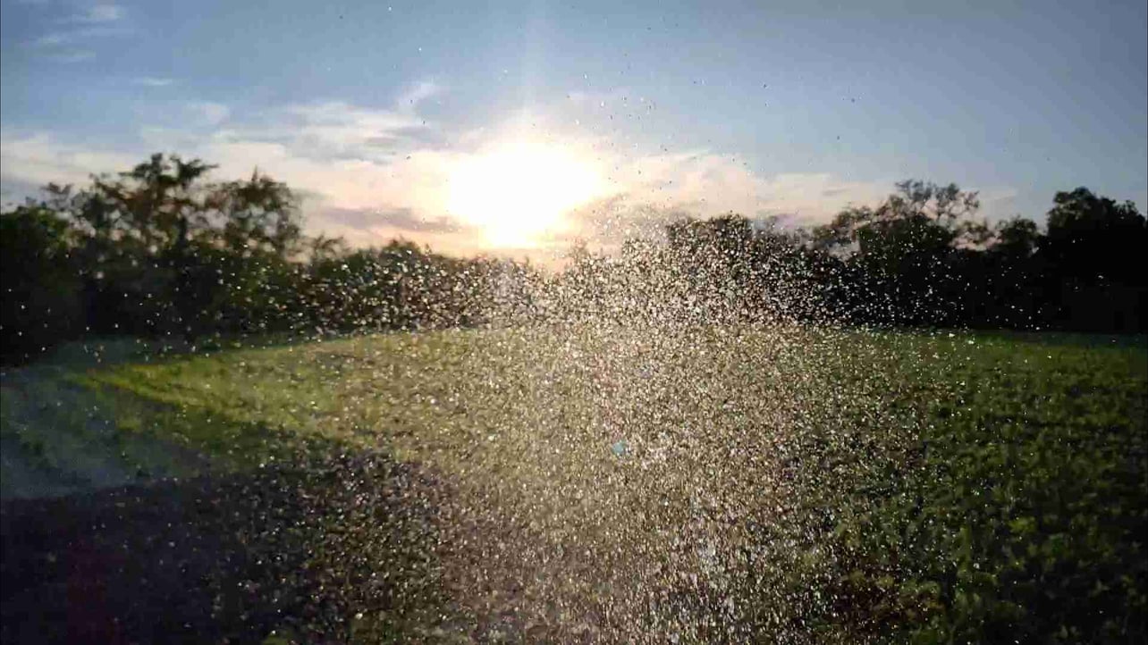 Andrii (andyandy) Farcaster social identity (Fname handle) PFP