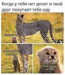 tof (tofeefee.lens) Lens social identity (.lens handle) PFP