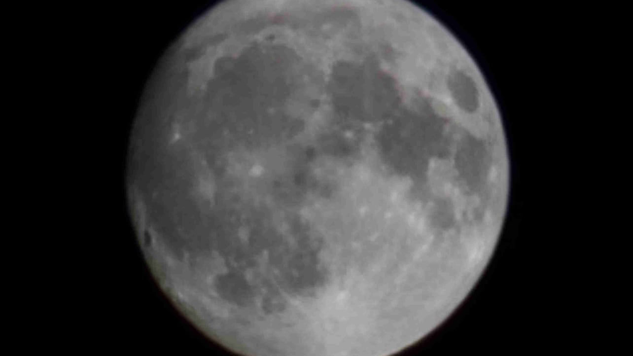 ckghau (cloverho2510) Farcaster social identity (Fname handle) PFP