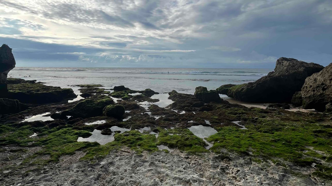 terstagerenske.lens Lens social identity (.lens handle) PFP