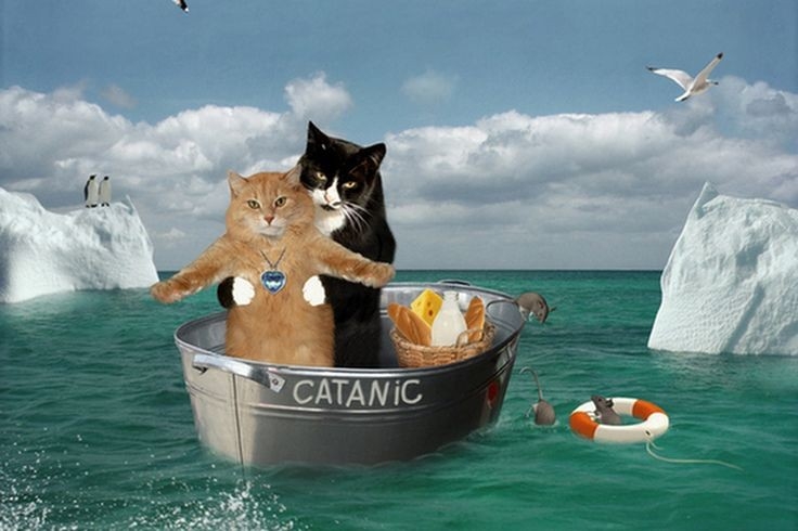 CATANIC