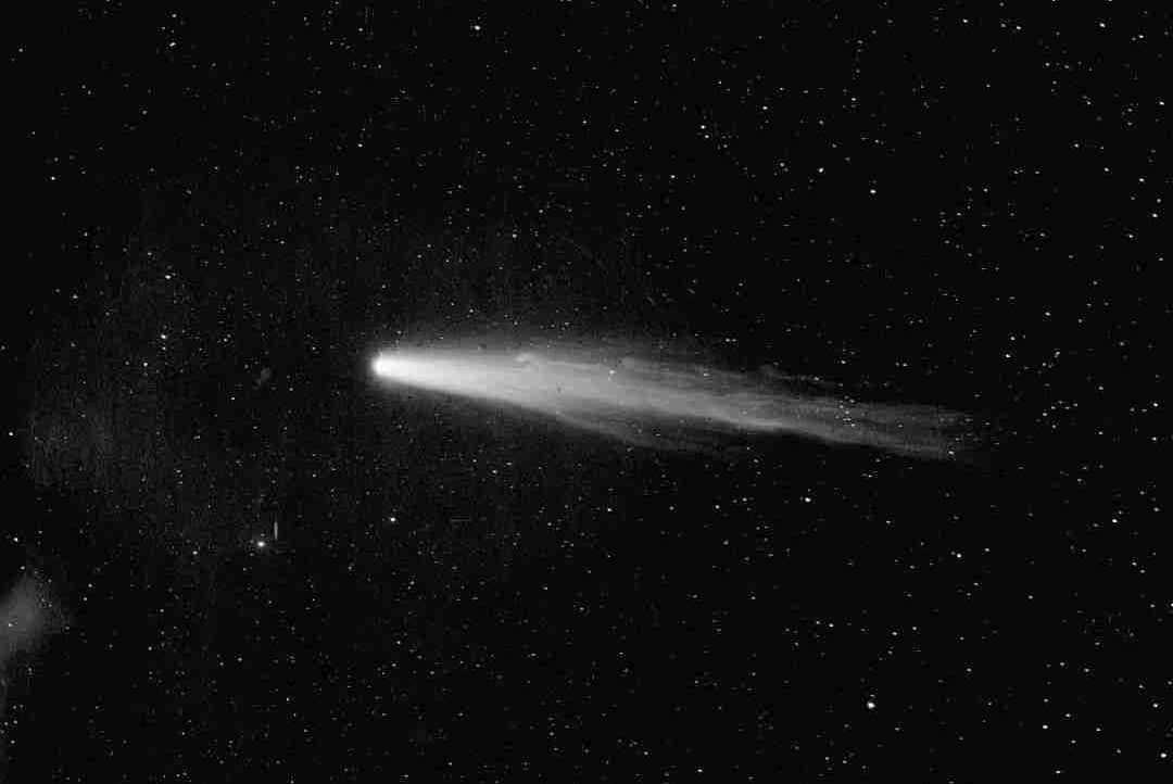 raelrcig7766.lens Lens social identity (.lens handle) PFP