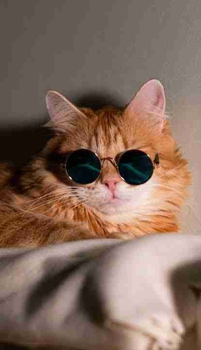 Heny Lomba (heny) Farcaster social identity (Fname handle) PFP