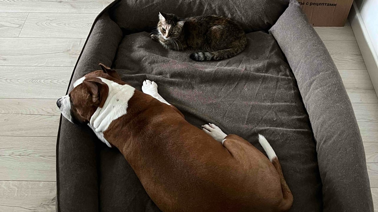 azteq.lens Lens social identity (.lens handle) PFP